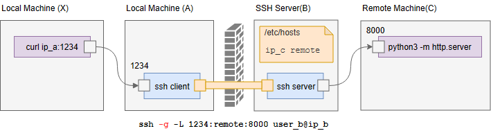 image-20240220205059860
