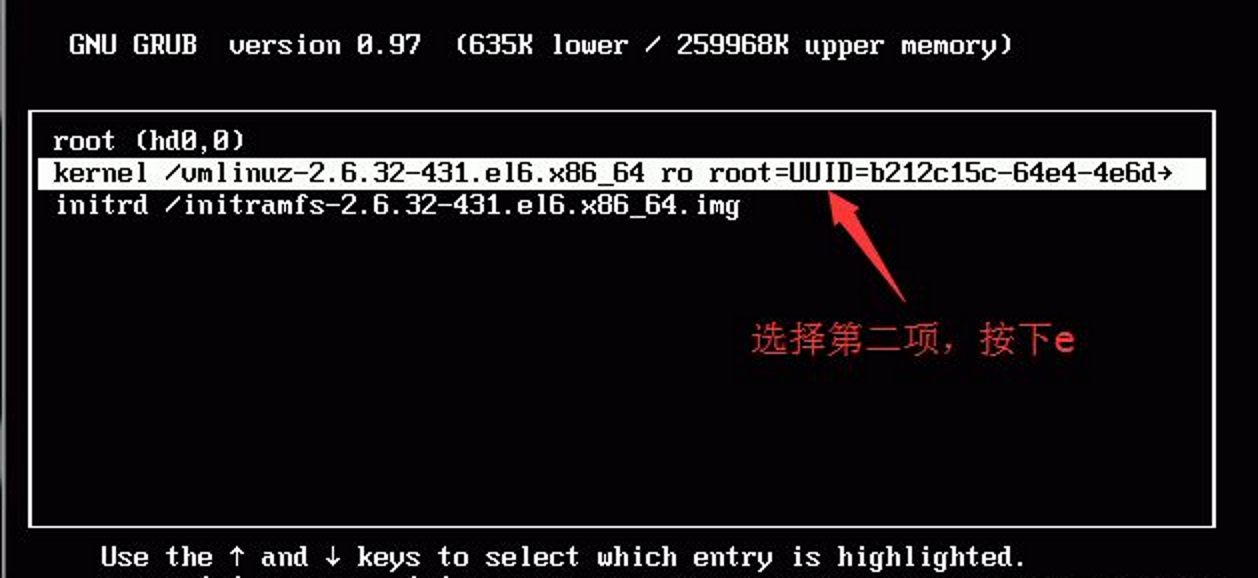 image-20240220233529369