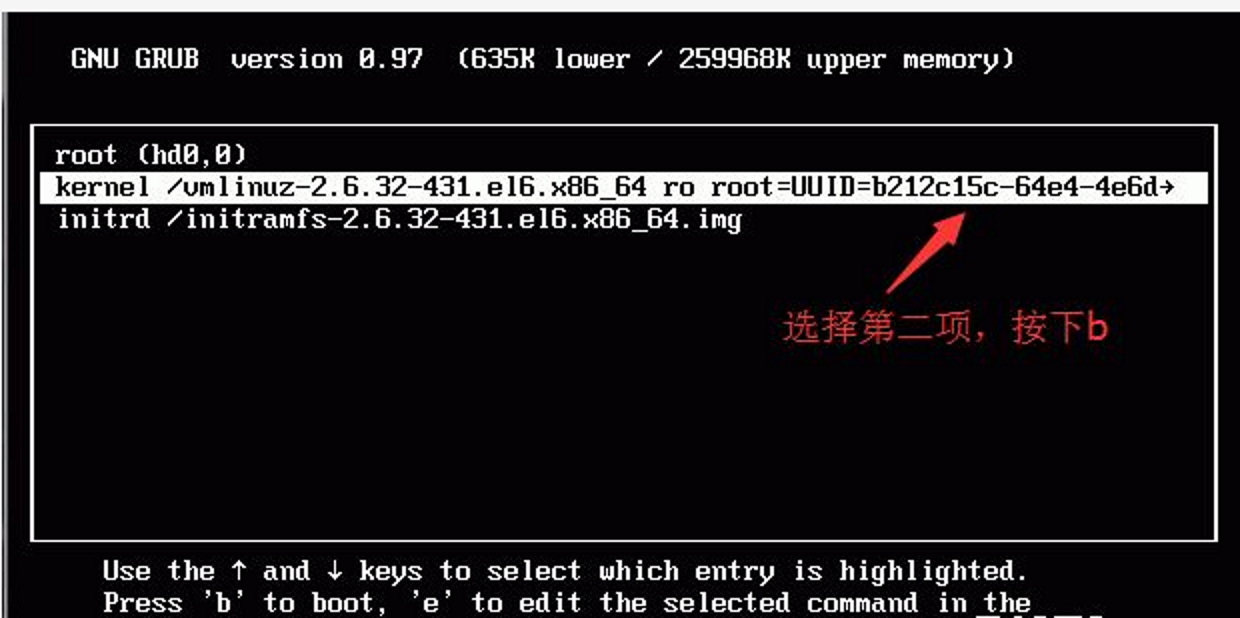 image-20240220233608247