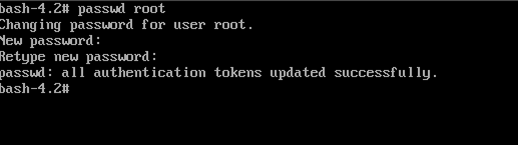 image-20240220233759884