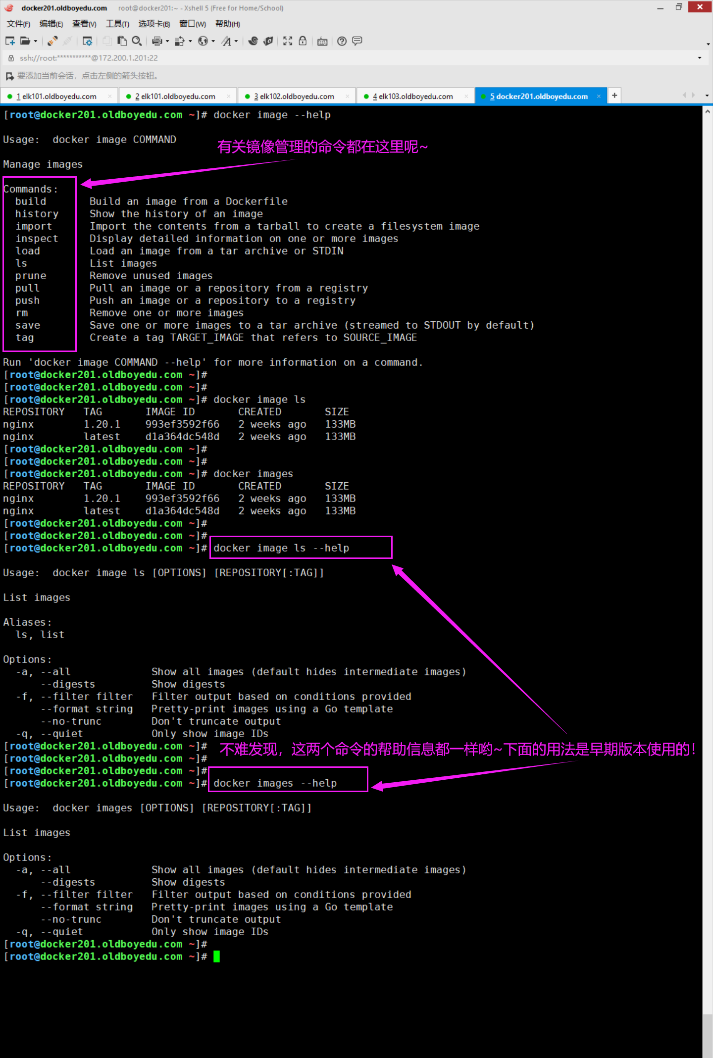 image-20210609223402204