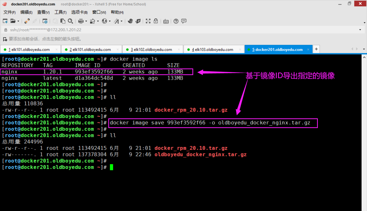 image-20210609224811160