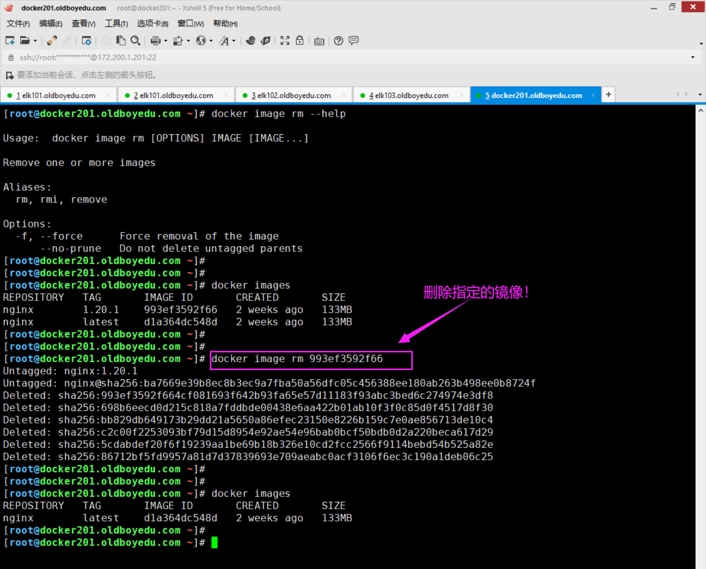 image-20210609231702768