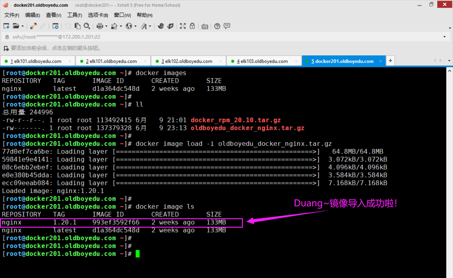 image-20210609232131913