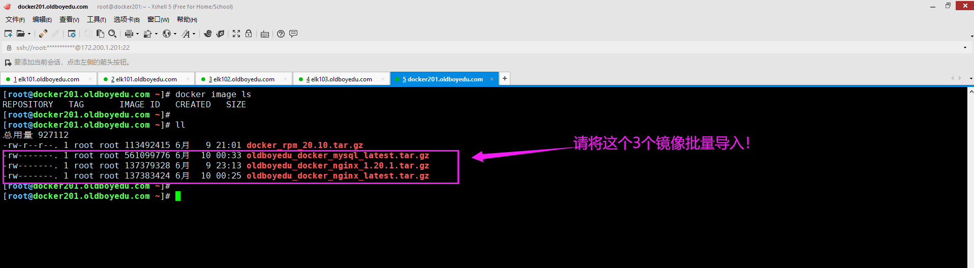 image-20210610004039213