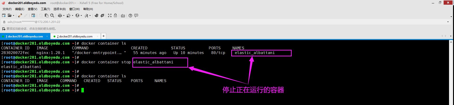 image-20210612131052114