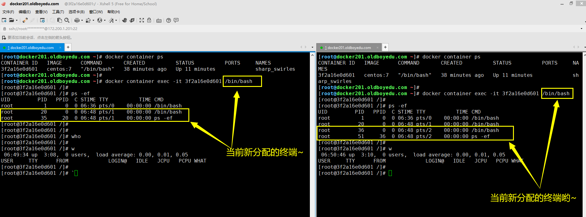 image-20210612145358732