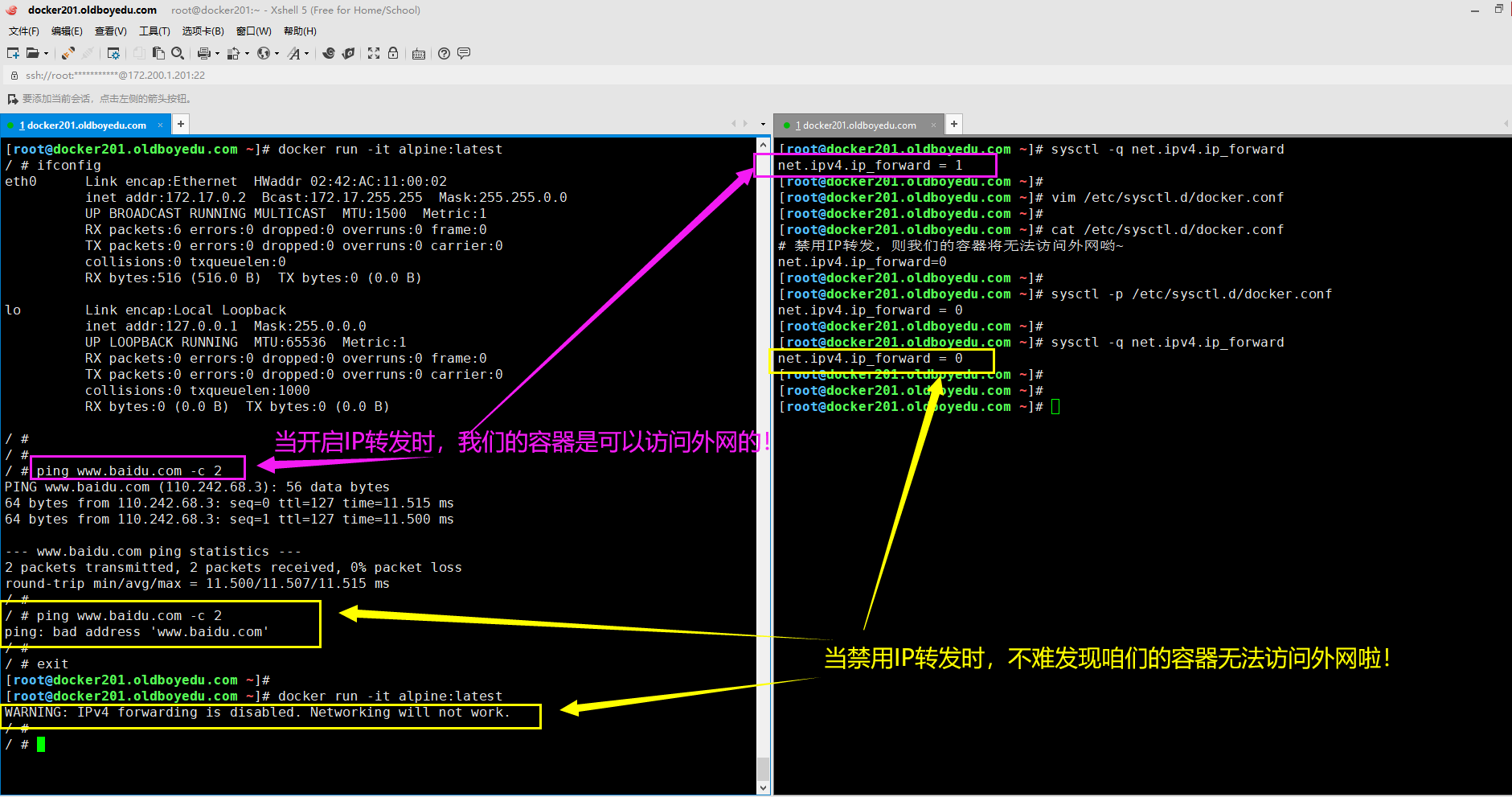 image-20210612213129061