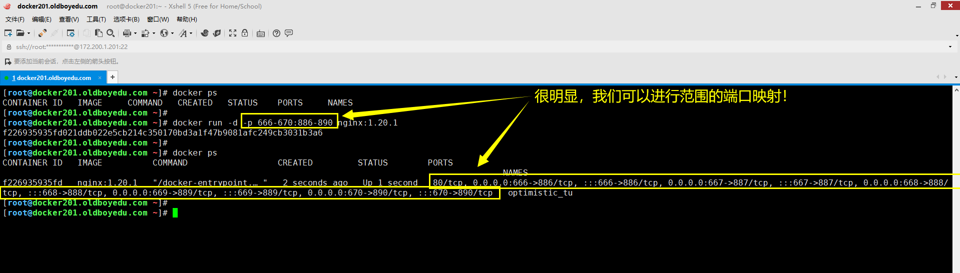image-20210613012610158