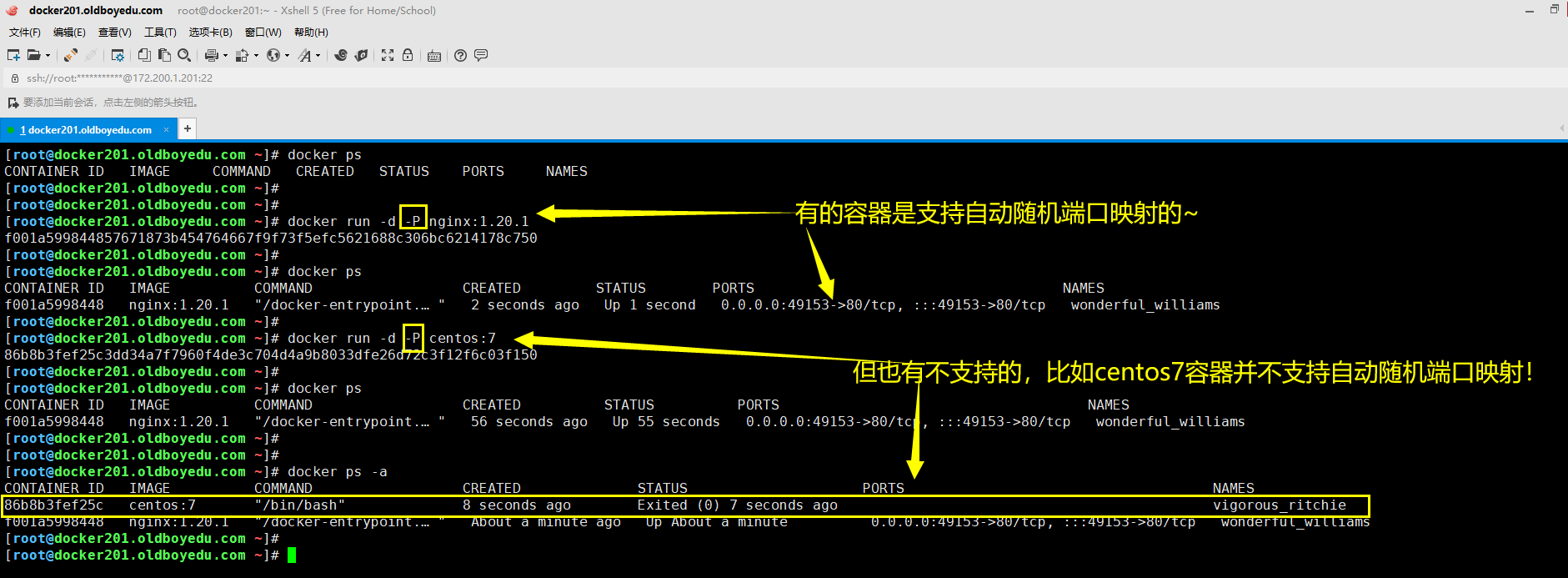 image-20210613013116889