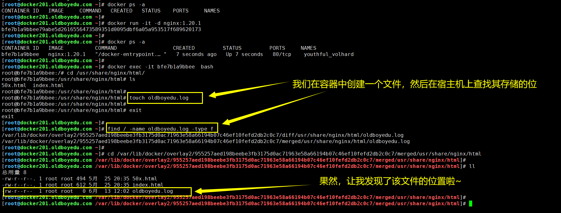 image-20210613120822148