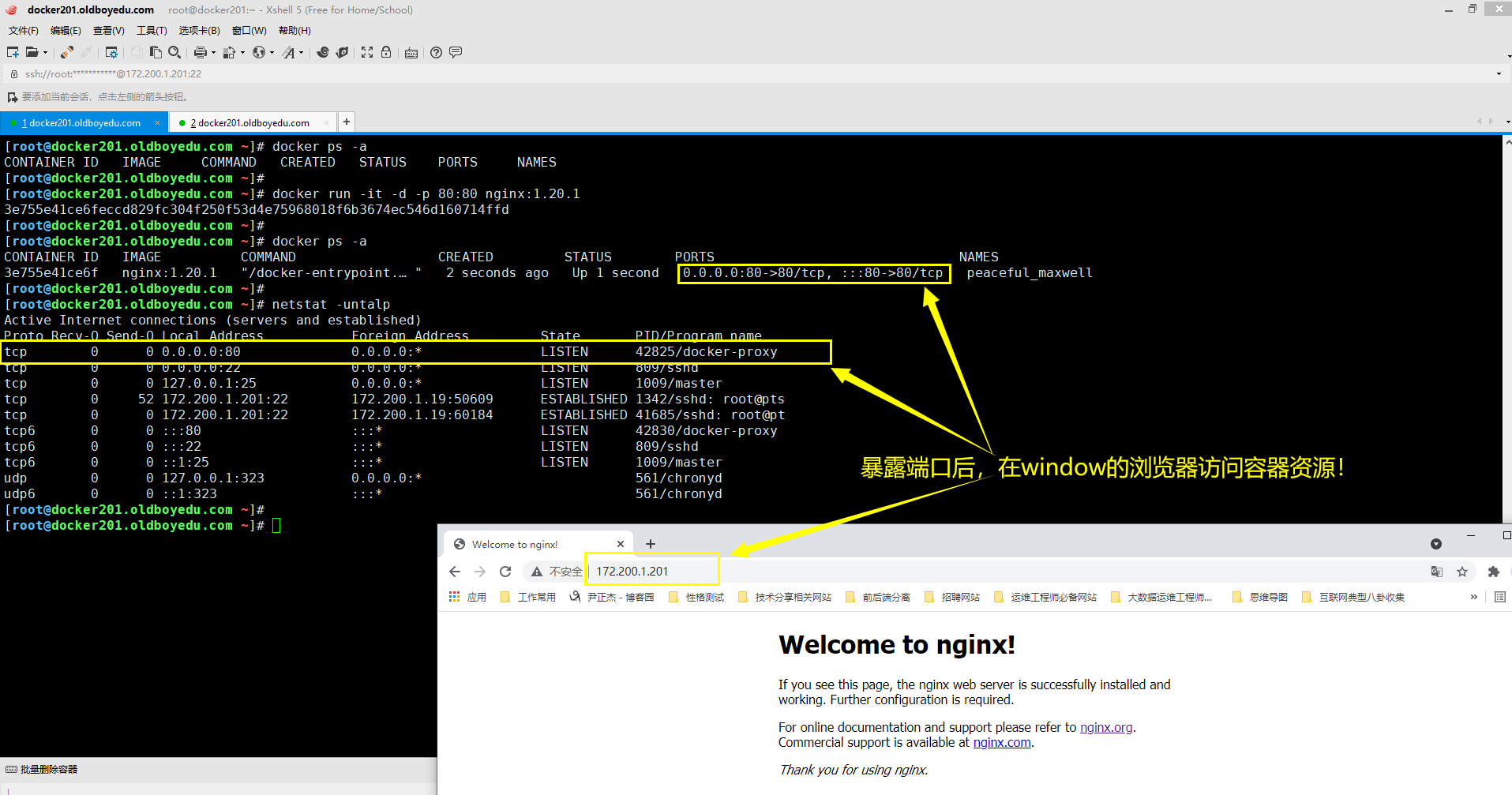 image-20210613125456367