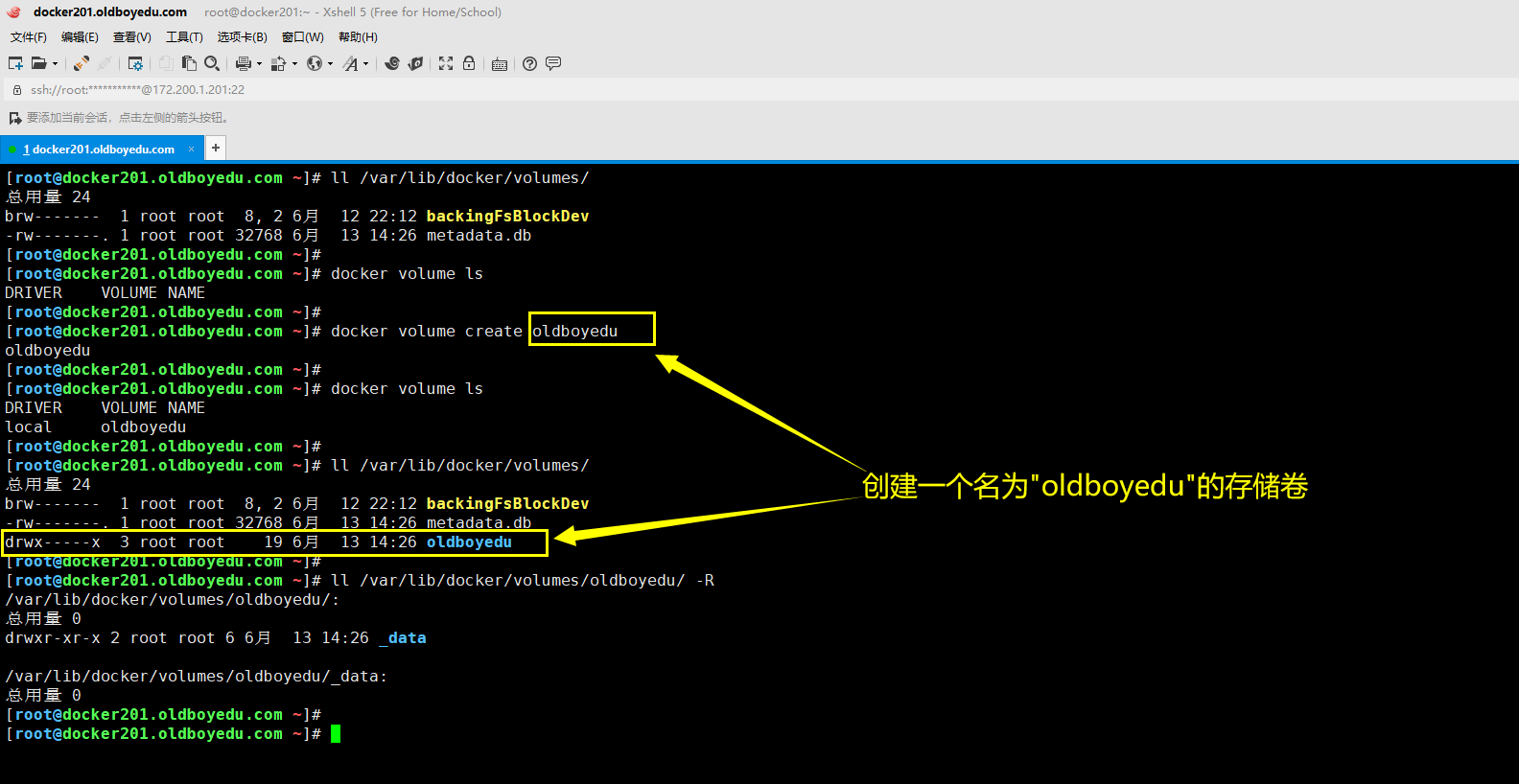 image-20210613142925176