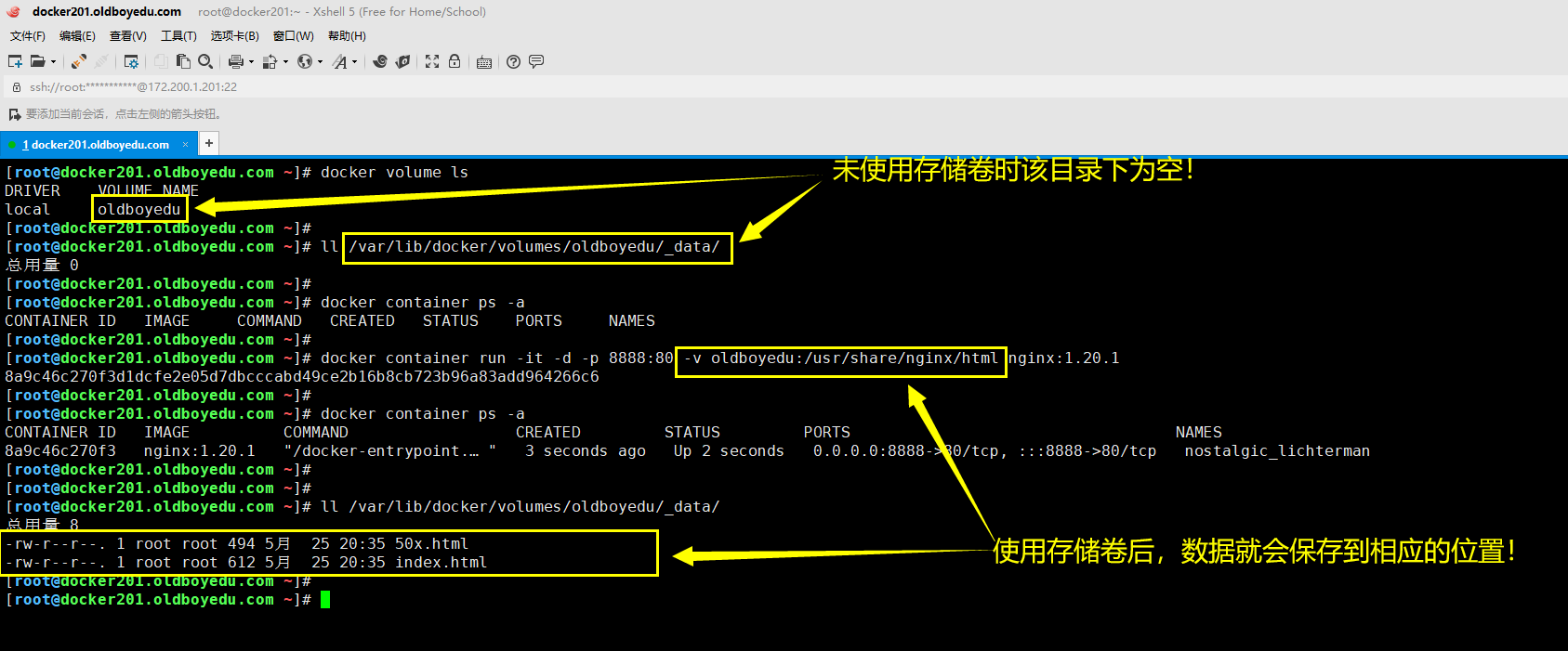 image-20210613144202513