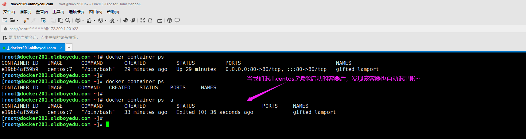 image-20210614211526839