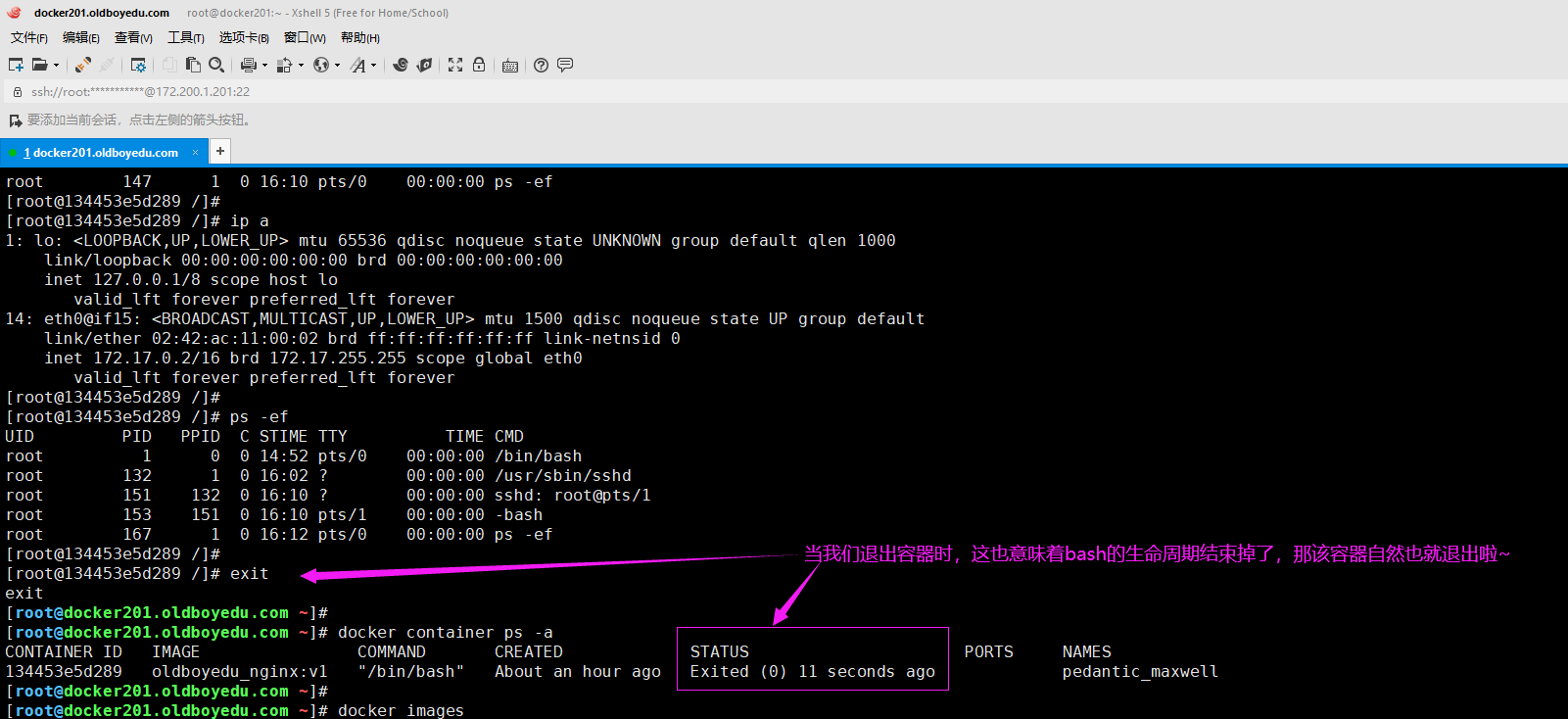 image-20210615002044910
