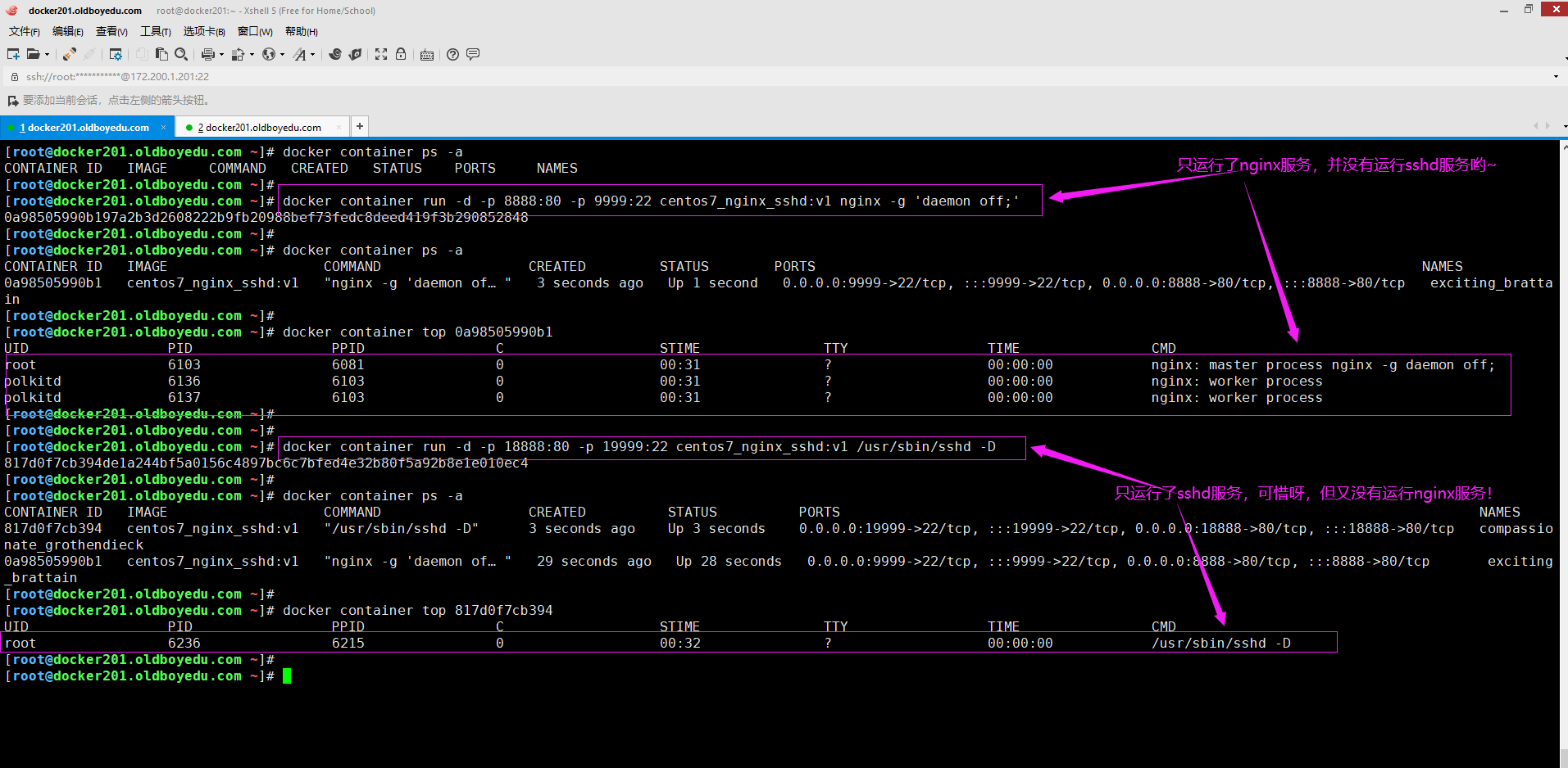 image-20210615003409584