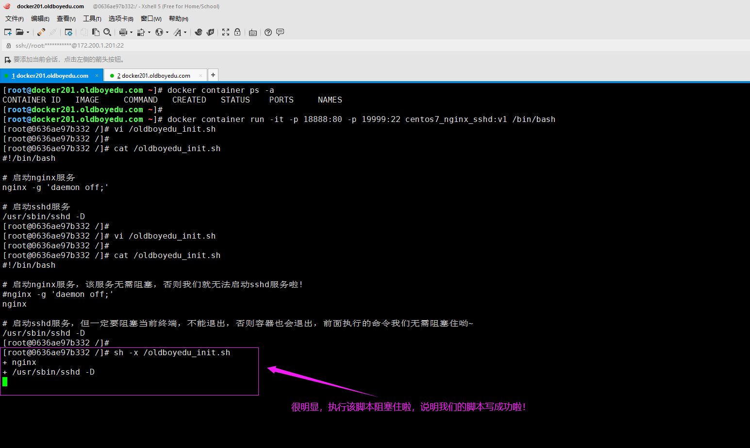 image-20210615004431880