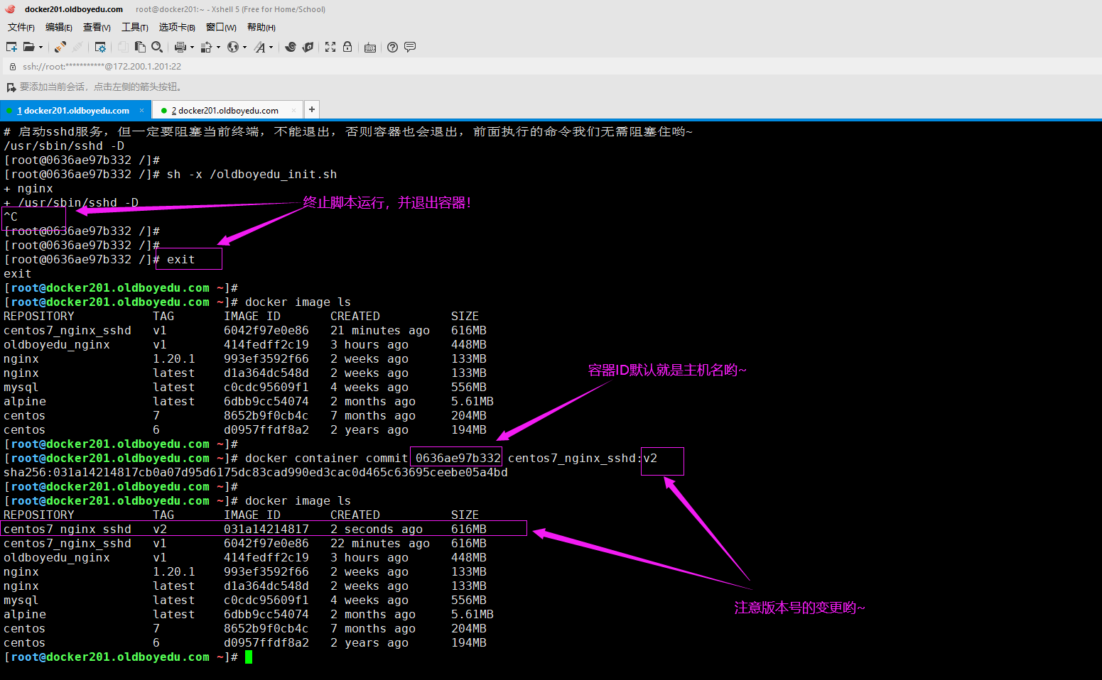 image-20210615004753083