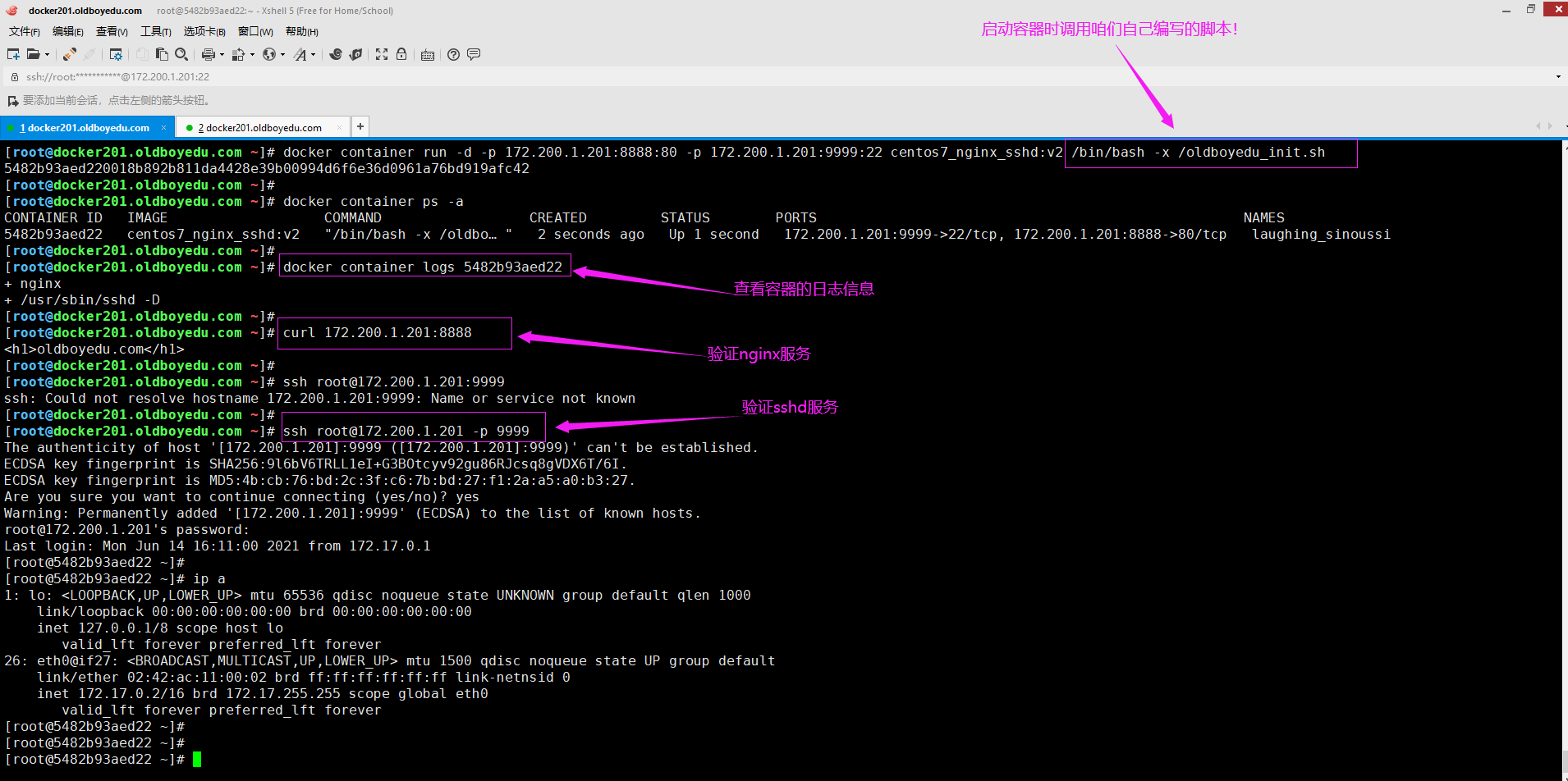 image-20210615005421085