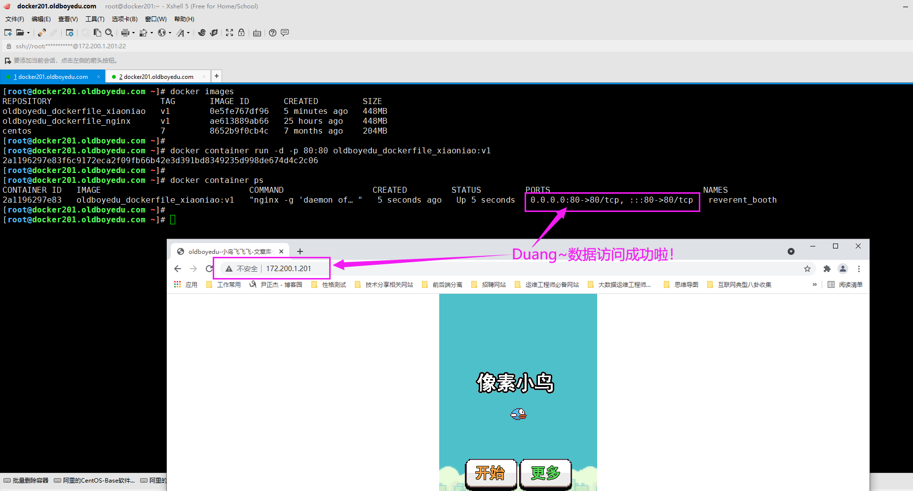 image-20210616224614267