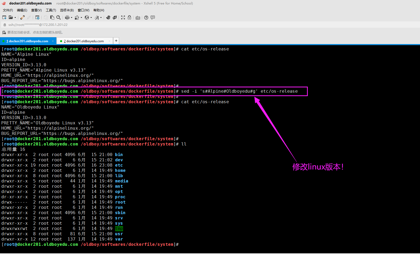 image-20210616230923861