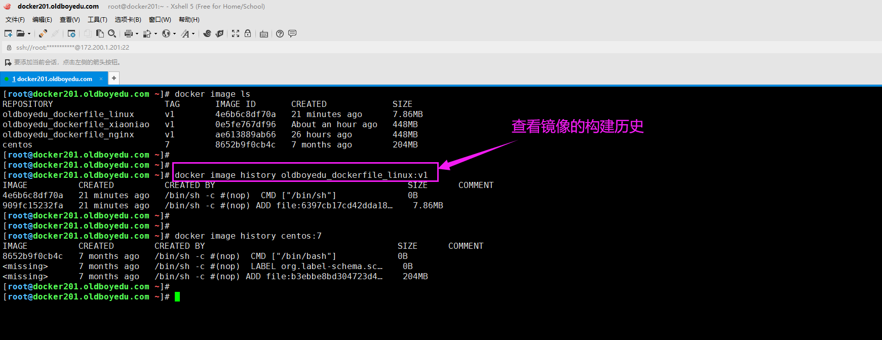 image-20210616235412627