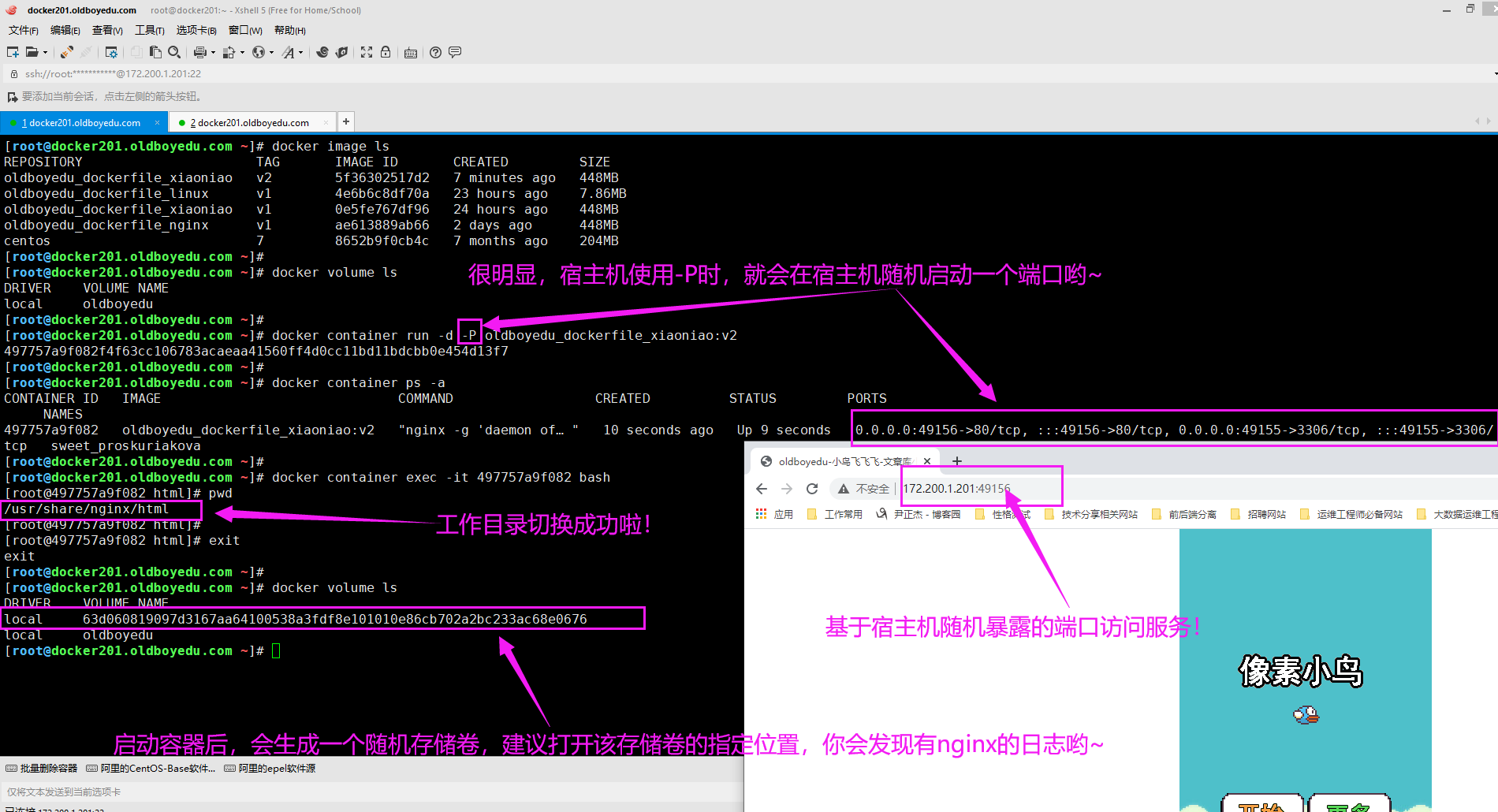 image-20210617232152835