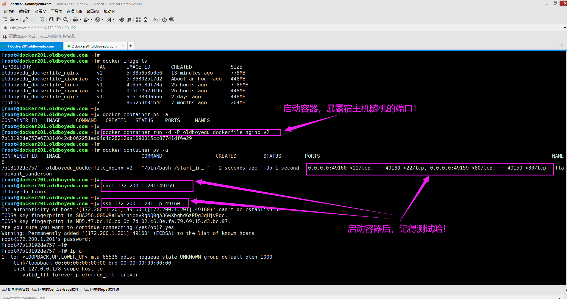 image-20210618001248513