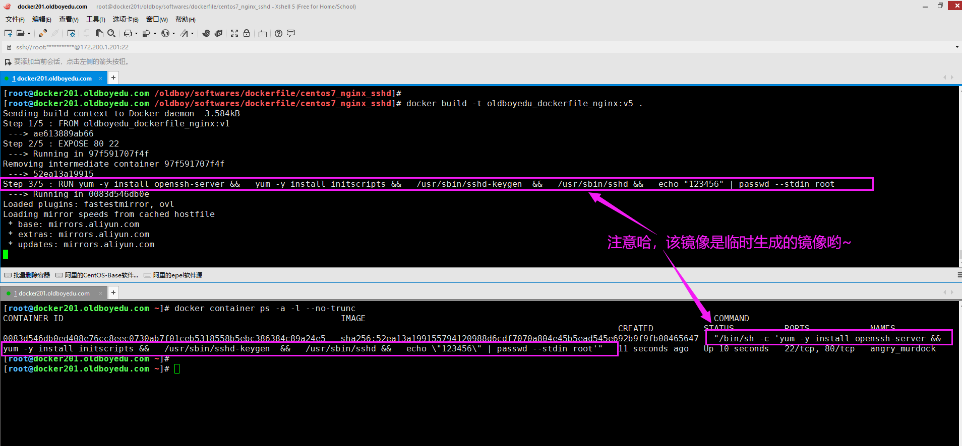 image-20210618003827653