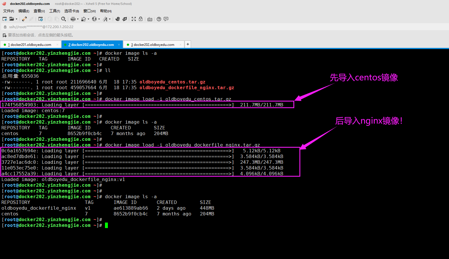 image-20210618174608796