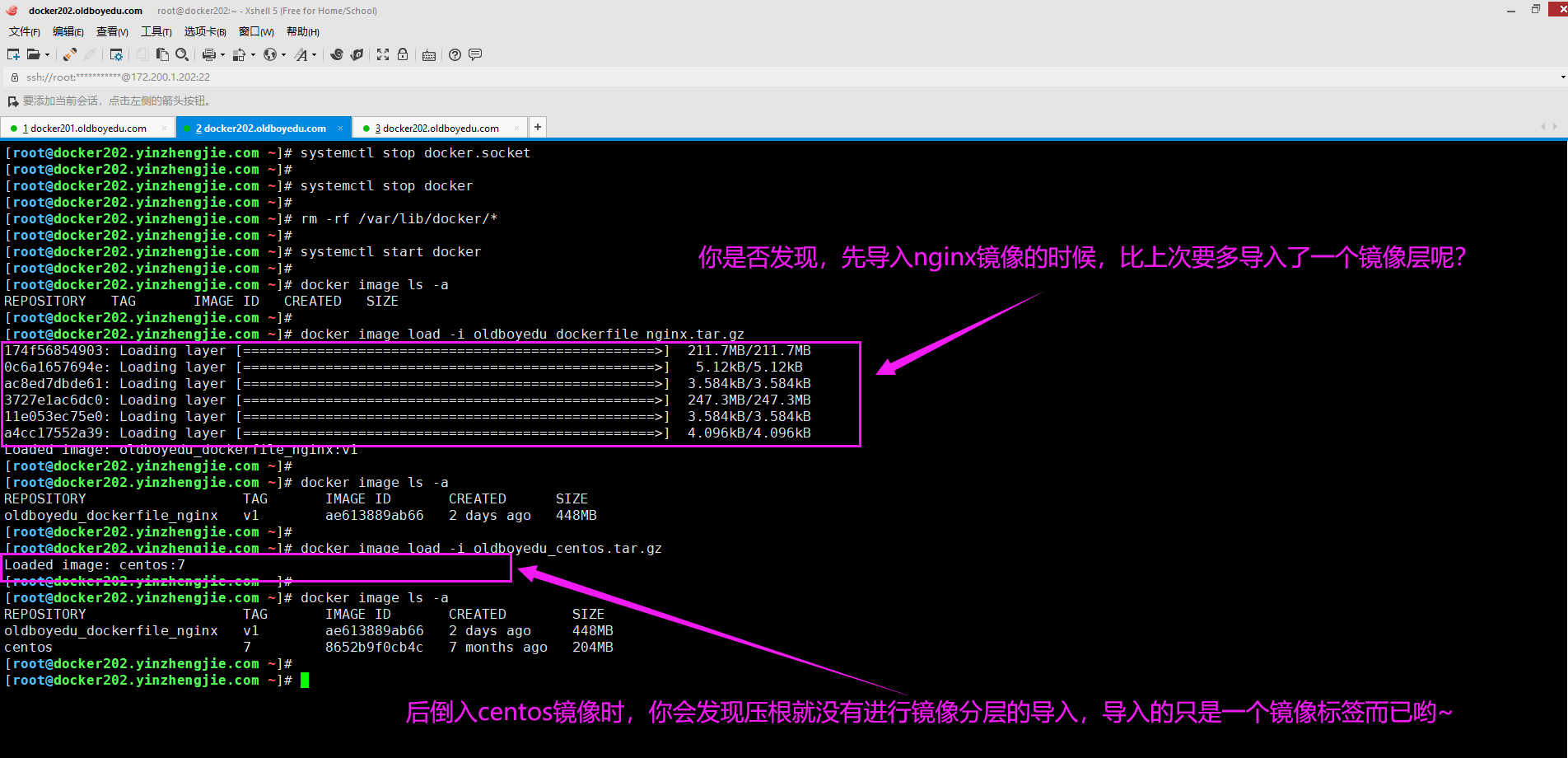 image-20210618175441256
