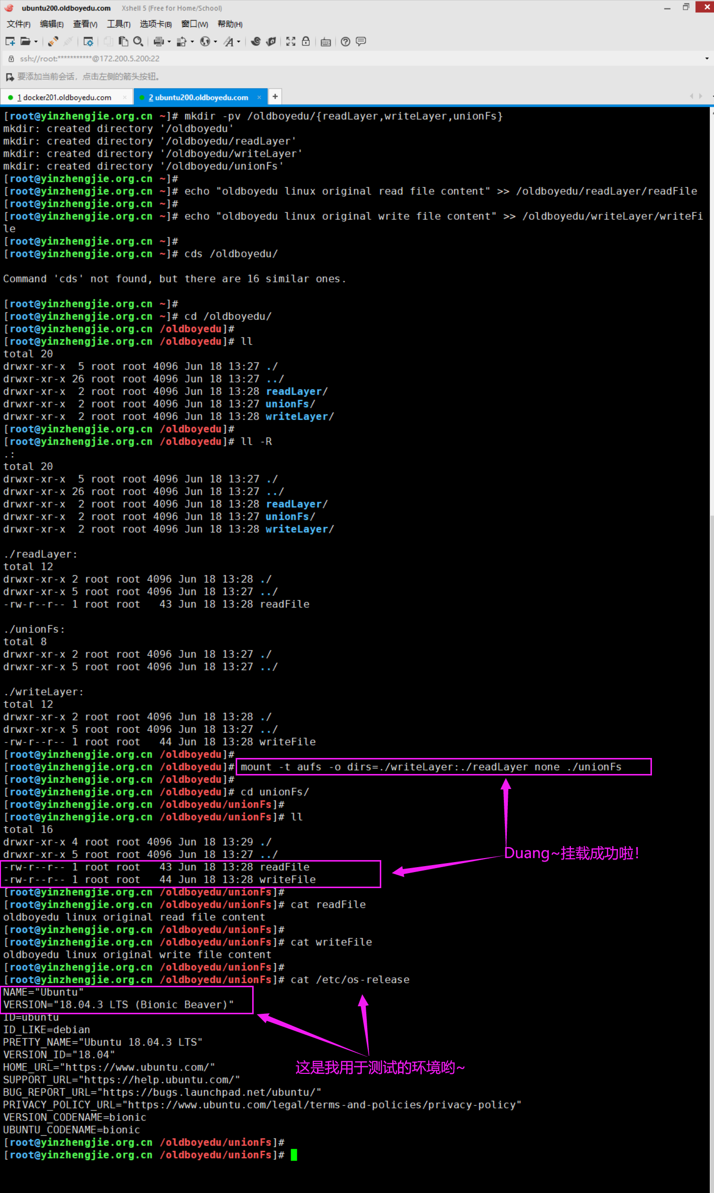 image-20210618213432370