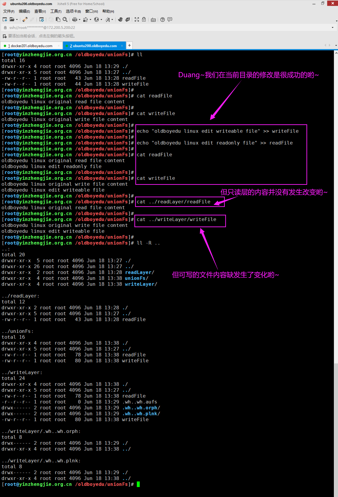 image-20210618214548622
