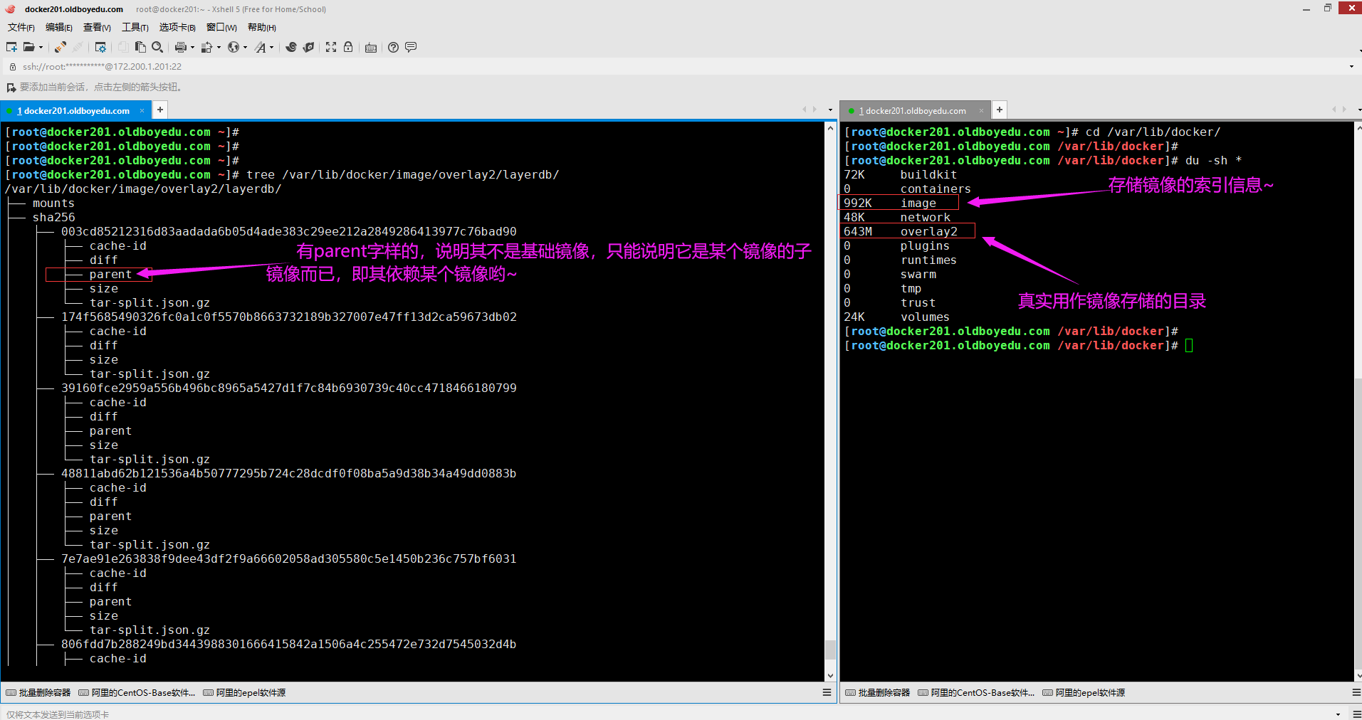 image-20210620201852270