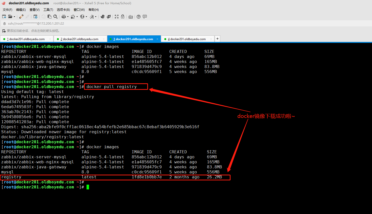 image-20210621183655101