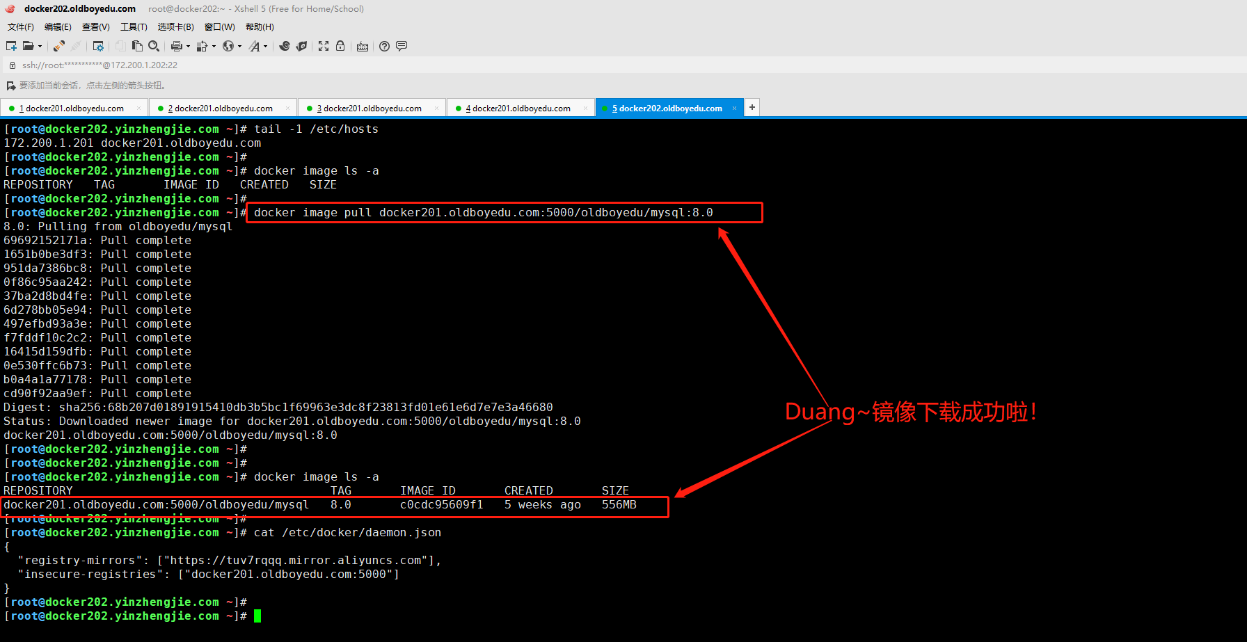 image-20210621192233653