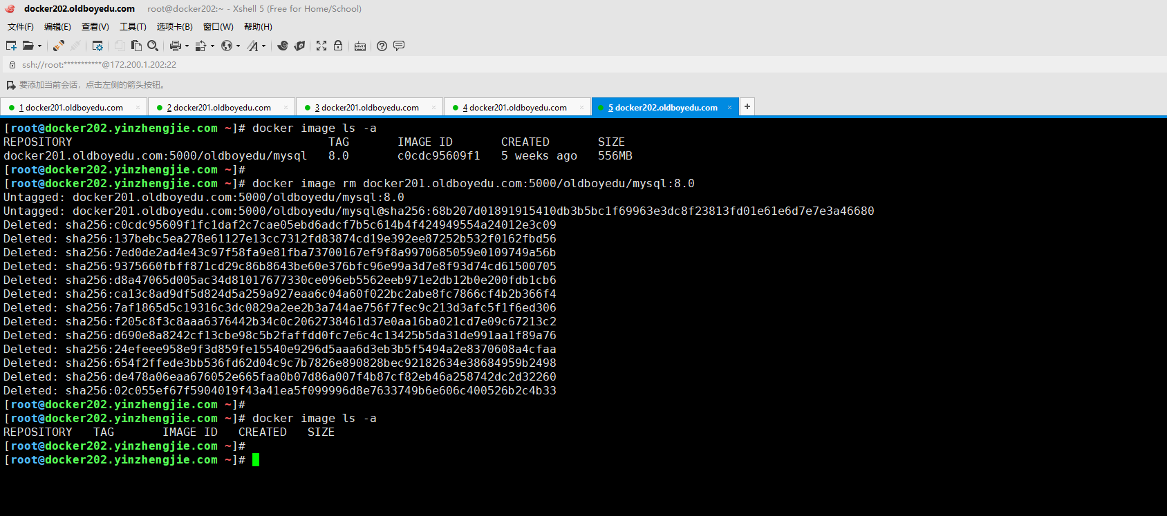 image-20210621192539897