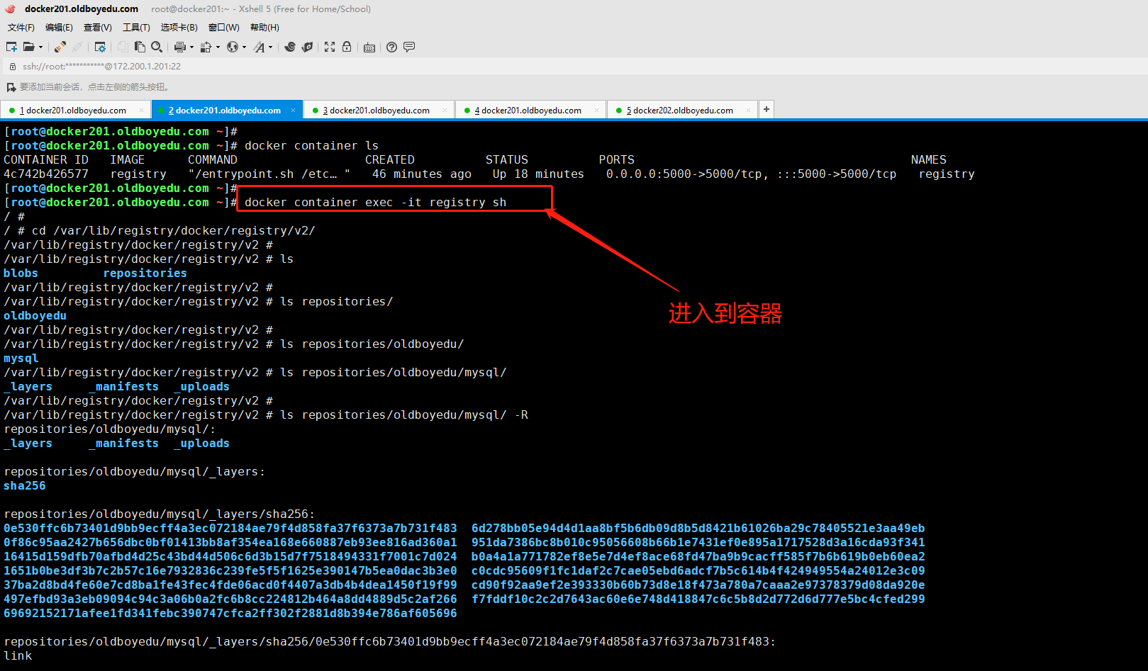 image-20210621193209066
