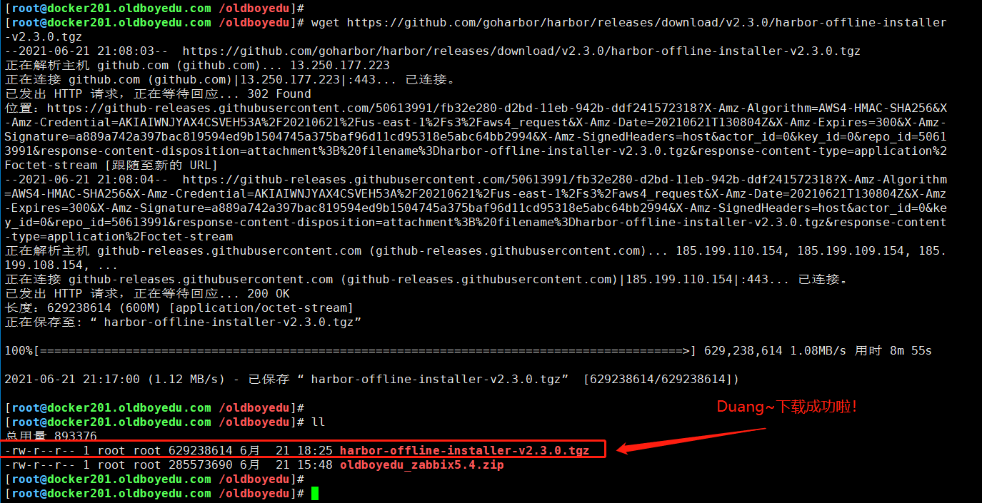 image-20210621212356443