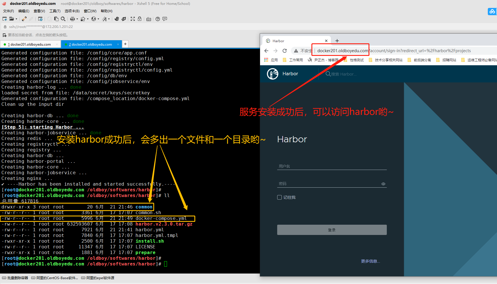 image-20210621215654189
