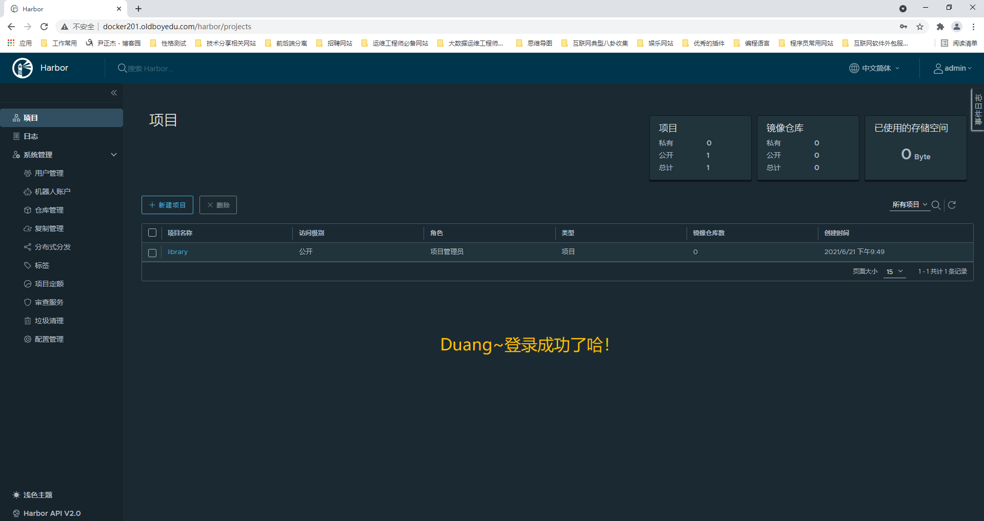 image-20210621220313823