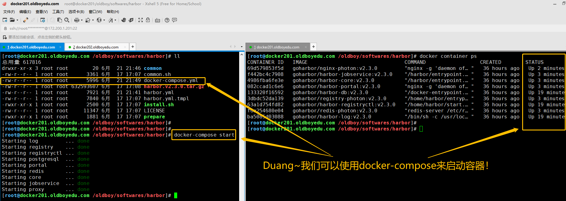 image-20210623093521750