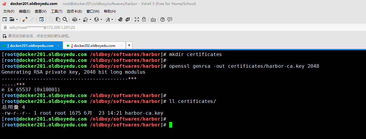 image-20210623142205758