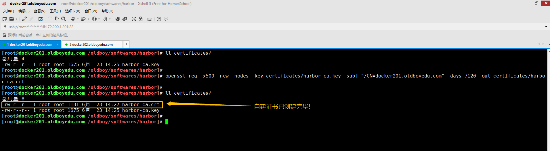 image-20210623143257313