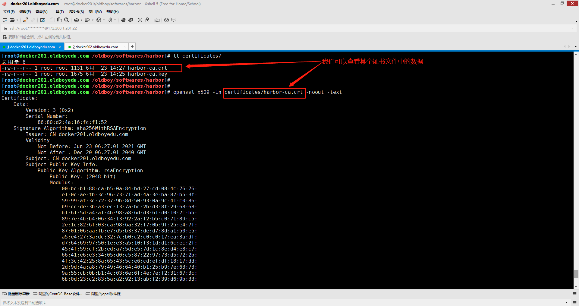image-20210623143811592