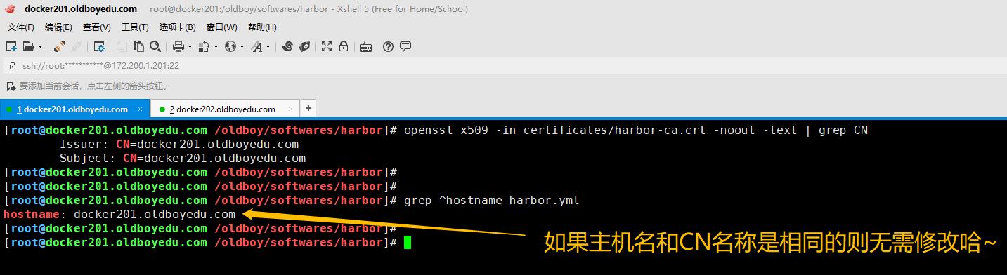 image-20210623144108524