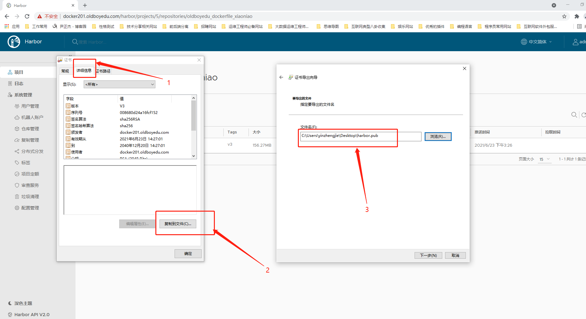image-20210623153746487