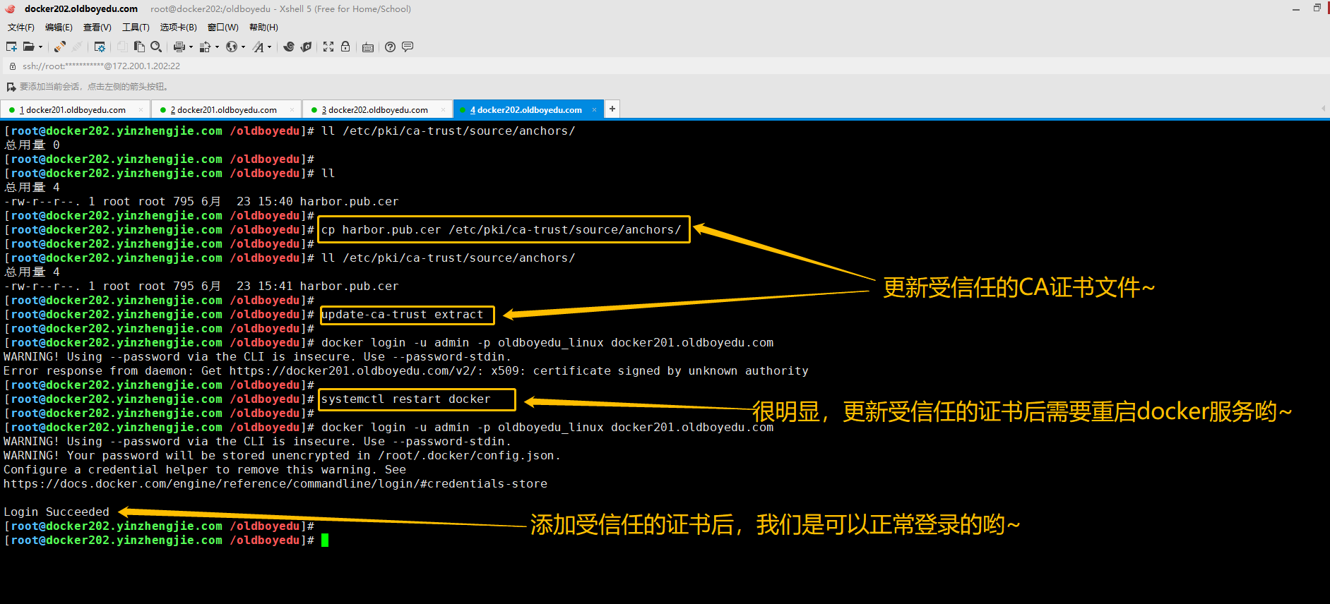 image-20210623154903267