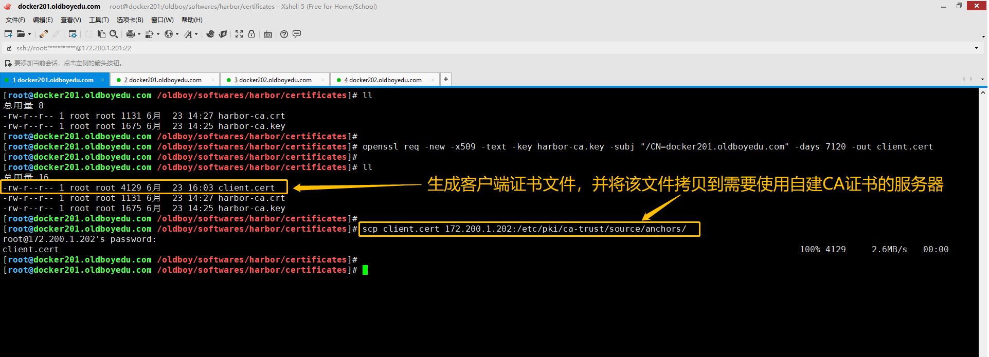 image-20210623161123732